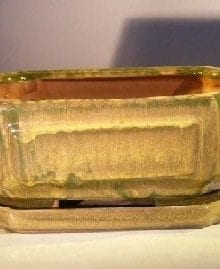 Green Ceramic Bonsai Pot - Rectangle Professional Series with Attached Humidity/Drip tray 8.5 x 6.5 x 3.5