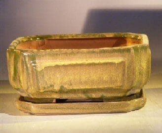 Green Ceramic Bonsai Pot - Rectangle Professional Series with Attached Humidity/Drip tray 8.5 x 6.5 x 3.5