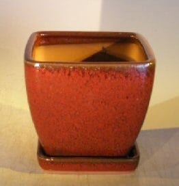 Parisian Red Ceramic Bonsai Pot Square With Attached Tray 6 x 6 x 6