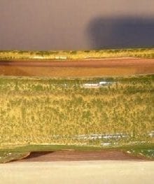 Woodlawn Green Ceramic Bonsai Pot - Rectangle 7.0 x 5.5 x 2.4