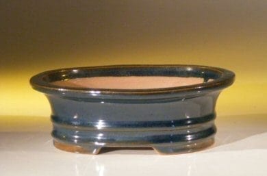 Blue Ceramic Bonsai Pot - Oval 7.0 x 5.5 x 2.375