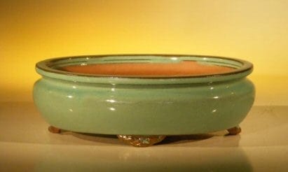 Green Ceramic Bonsai Pot - Oval 10 x 8 x 3.125