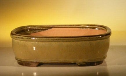Mustard Color Ceramic Bonsai Pot - Rectangle 10 x 8 x 3.125