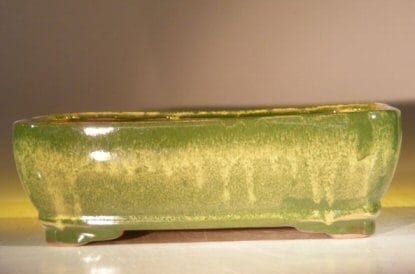 Green Ceramic Bonsai Pot - Rectangle 12.0 x 9.5 x 3.4