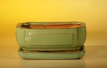 Light Green Ceramic Bonsai Pot - Rectangle Professional Series with Attached Humidity/Drip tray 6.37 x 4.75 x 2.625