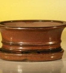 Aztec Orange Ceramic Bonsai Pot - Oval Professional Series with Attached Humidity/Drip tray 6.37 x 4.75 x 2.625