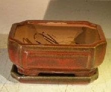 Parisian Red Ceramic Bonsai Pot - Rectangle Professional Series with Attached Humidity/Drip tray 6.37 x 4.75 x 2.625