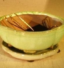 Woodlawn Green Ceramic Bonsai Pot Round Petal Shape 6.0 x 4.75 x 2.5