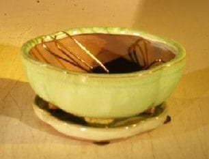 Woodlawn Green Ceramic Bonsai Pot Round Petal Shape 6.0 x 4.75 x 2.5