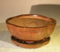 Aztec OrangeCeramic Bonsai Pot - Oval Lotus Shape Professional Series with Attached Humidity/Drip tray 6.37 x 4.75 x 2.625