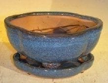 Blue Ceramic Bonsai Pot- Oval Lotus Shape Professional Series with Attached Humidity/Drip Tray 6.37 x 4.75 x 2.625