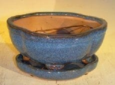 Blue Ceramic Bonsai Pot- Oval Lotus Shape Professional Series with Attached Humidity/Drip Tray 6.37 x 4.75 x 2.625