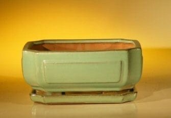 Dark Green Ceramic Bonsai Pot - Rectangle With Attached Humidity/Drip tray 8.5 x 6.5 x 3.5