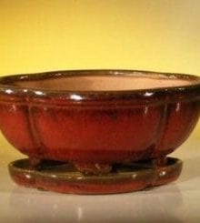 Parisian Red Ceramic Bonsai Pot - Oval Professional Series with Attached Humidity/Drip tray 8.5 x 6.5 x 3.5