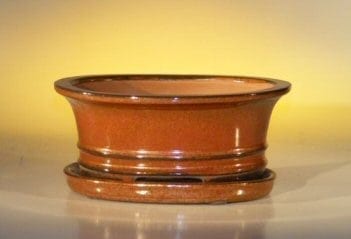 Aztec Orange Ceramic Bonsai Pot - Oval Professional Series with Attached Humidity/Drip tray 8.5 x 6.5 x 3.5