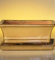 Mustard Color Ceramic Bonsai Pot - Rectangle Professional Series with Attached Humidity/Drip tray 8.5 x 6.5 x 3.5