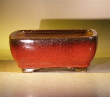 Parisian Red Ceramic Bonsai Pot - Rectangle Professional Series 8 x 6 x 3