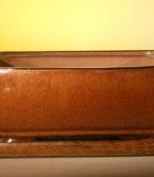 Aztec Orange Ceramic Bonsai Pot - Rectangle Attached Humidity/Drip tray 10.5 x 8.0 x 4.5