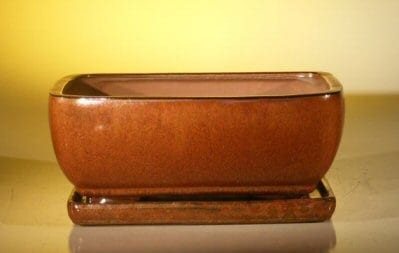 Aztec Orange Ceramic Bonsai Pot - Rectangle Attached Humidity/Drip tray 10.5 x 8.0 x 4.5