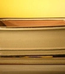 Ceramic Bonsai Pot With Attached Humidity/Drip tray - Professional Series Rectangle 10.75 x 8.5 x 4.125