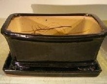 Black Ceramic Bonsai Pot- Rectangle Professional Series with Attached Humidity/Drip Tray 10.0 x 9.0 x 4.5