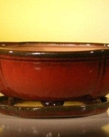Parisian Red Ceramic Bonsai Pot - Oval Lotus Shaped Professional Series With Attached Humidity/Drip tray 10.75 x 8.5 x 4.125