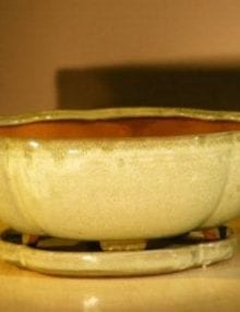 Green Apple Color Ceramic Bonsai Pot - Oval Professional Series with Attached Humidity/Drip tray 10.75 x 8.5 x 4.0