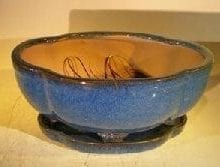 Blue Ceramic Bonsai Pot #2 - Oval Lotus Shaped Professional Series 10.5 x 9.0 x 5.0