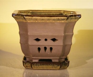 Ceramic Orchid Pot - 7.625 x 6.125 Hexagon With Matching Attached Saucer