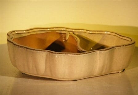 Beige Ceramic Bonsai Pot - Oval Land/Water with Scalloped Edges 12 x 9.5 x 3