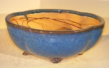Blue Ceramic Bonsai Pot #1 - Oval Lotus Shaped Professional Series 10.5 x 9.0 x 4.0
