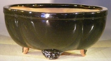 Black Ceramic Bonsai Pot - Oval Lotus Shape 8.5 x 7.25 x 4.0