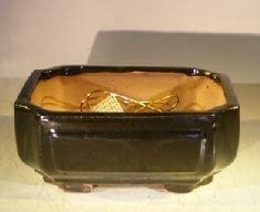 Black Ceramic Bonsai Pot #2 - Rectangle Professional Series 8.25 x 6.25 x 4.0