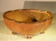Aztec Orange Ceramic Bonsai Pot - Oval Lotus Shaped Professional Series 8.0 x 7.25 x 3.5
