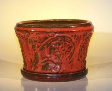 Parisian Red Ceramic Bonsai Pot With Matching Tray Round 11.25 x 7.5