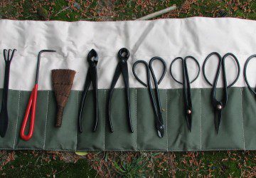 Bonsai Tree Tools & Supplies