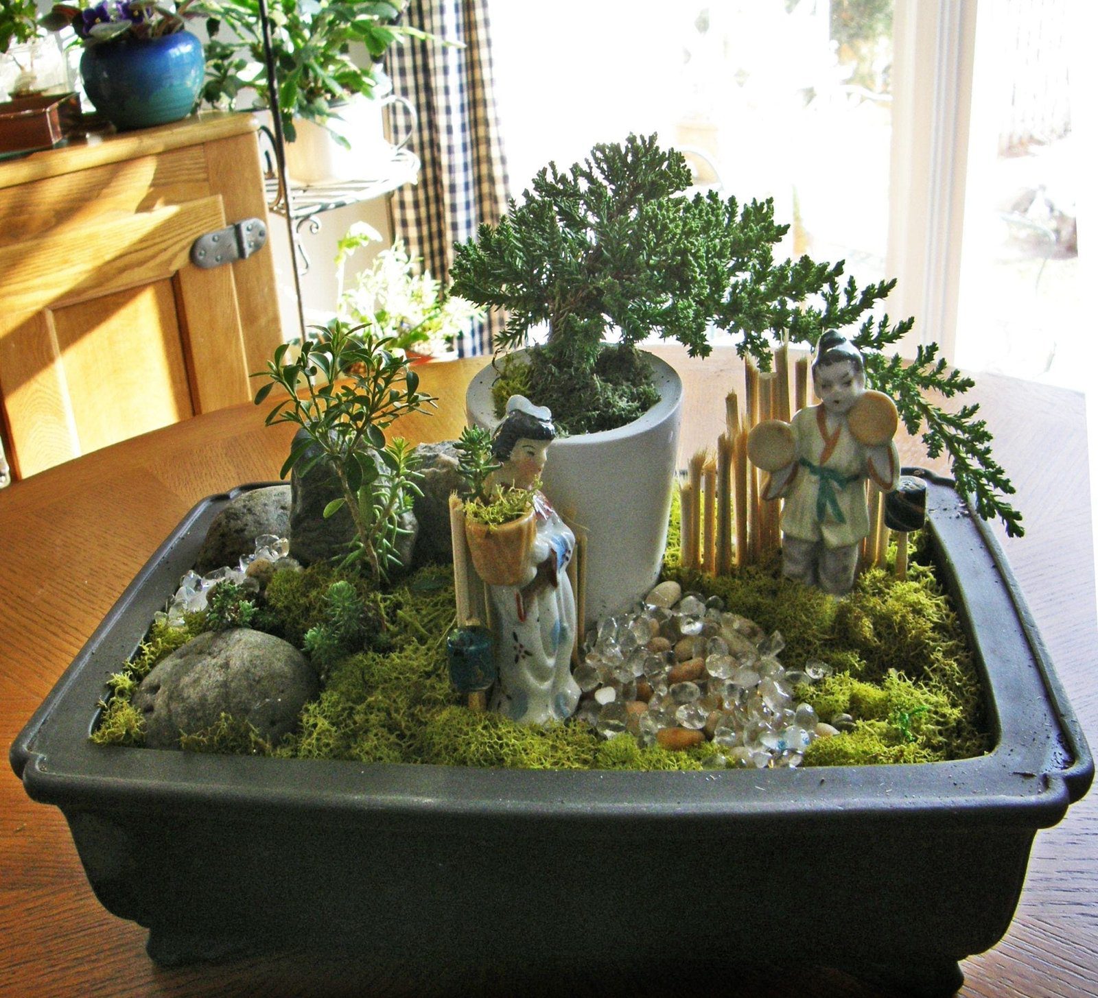 How To Make A Bonsai Dish Garden