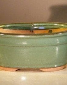 Green Ceramic Bonsai Pot - Oval 6.0 x 5.0 x 2.75