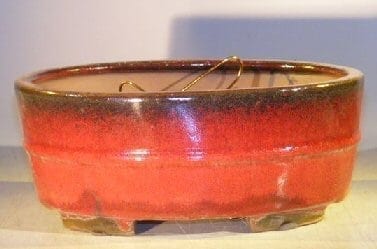Parisian Red Ceramic Bonsai Pot #1 - Oval Professional Series 10 x 8 x 4