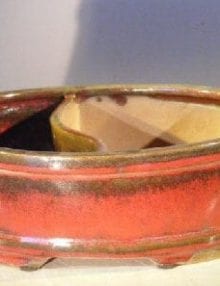 Parisian Red Ceramic Bonsai Pot - Oval Land/Water Divider 10 x 8 x 3.75