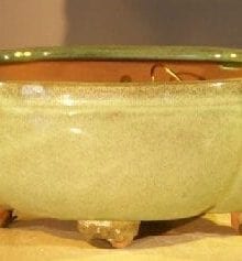 Melon Green Ceramic Bonsai Pot - Oval Professional Series 10 x 8 x 4