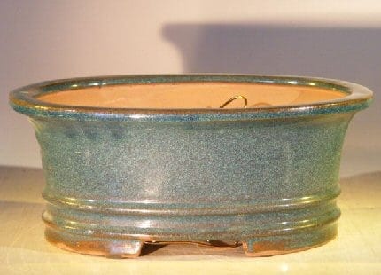 Blue/Green Ceramic Bonsai Pot - Oval Professional Series 10 x 8 x 4