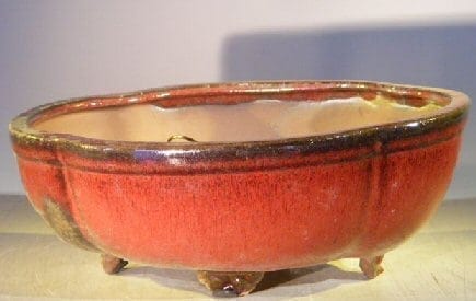 Parisian Red Ceramic Bonsai Pot #2 - Oval Professional Series 10 x 8 x 4