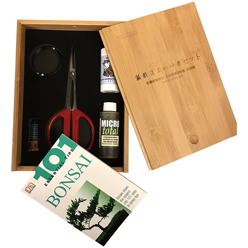 Tinyroots Bonsai Starter Took Kit in Bamboo Box