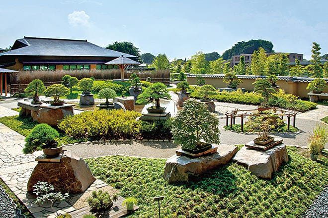 Omiya Bonsai Village