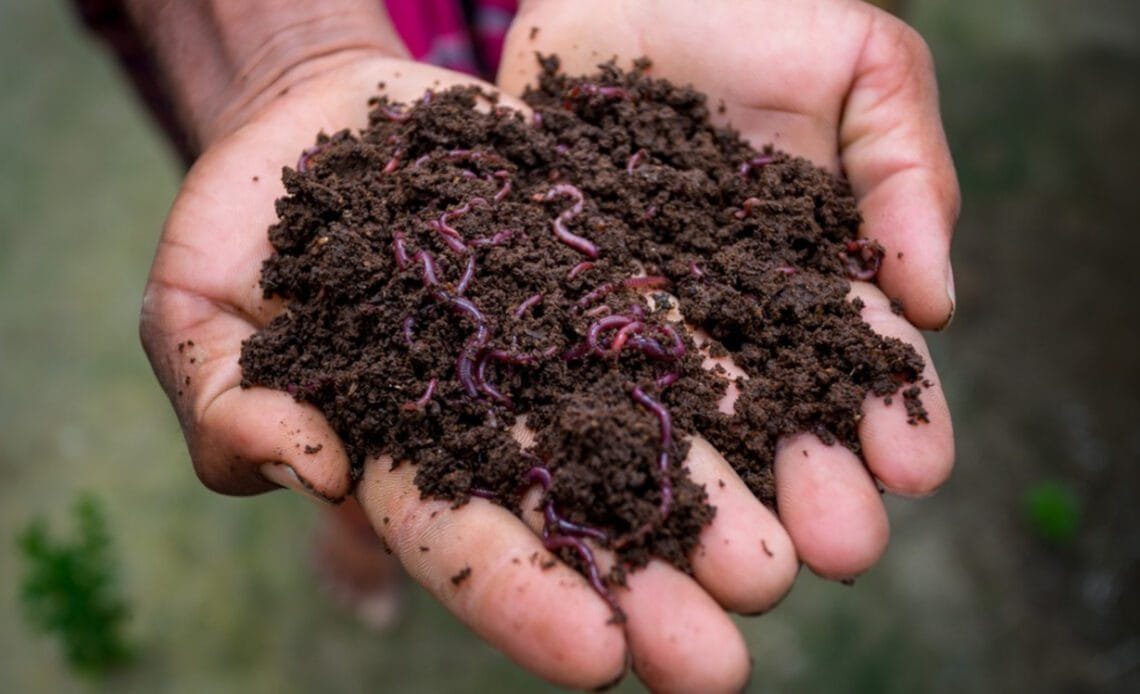 Vermicomposting