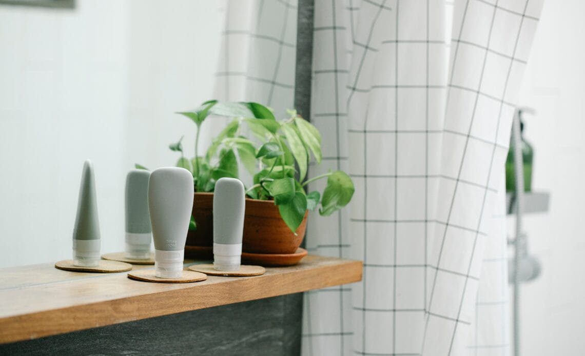 Best Bathroom Plants