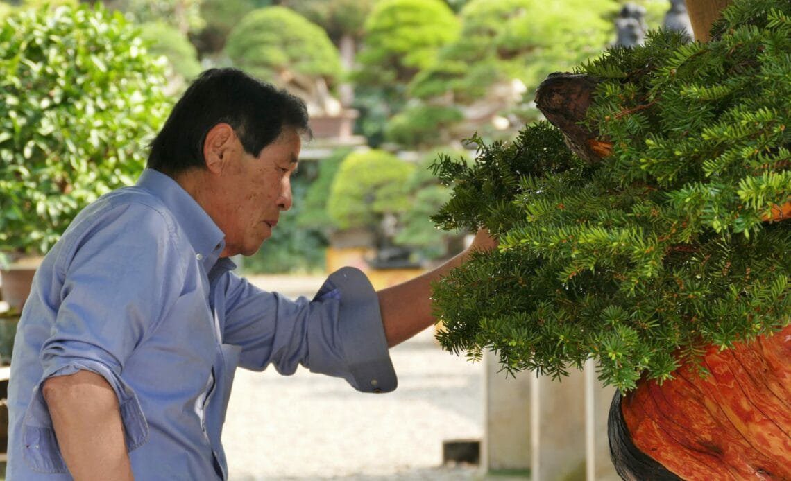 Bonsai Master Masahiko Kimura