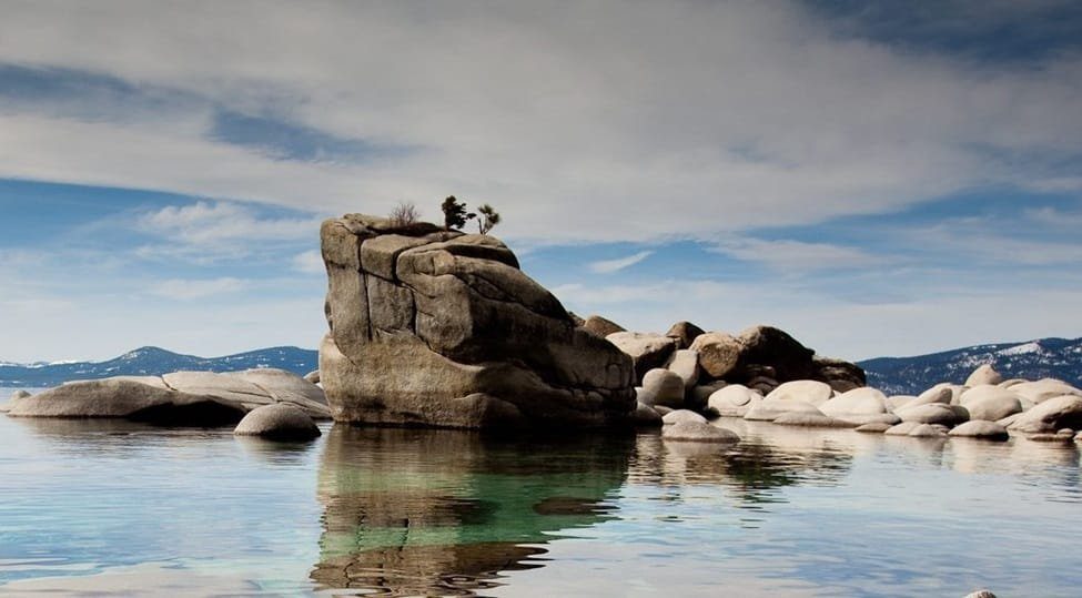 Bonsai Rock